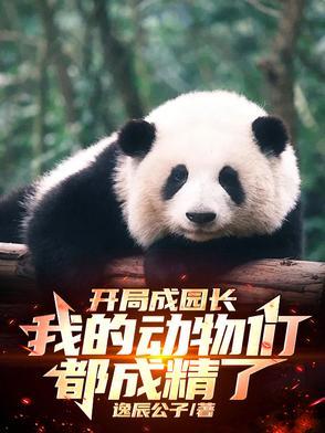 再冬金丙讲的什么