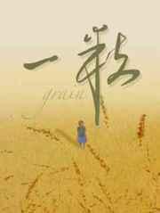 七零双职工养娃日常TXT