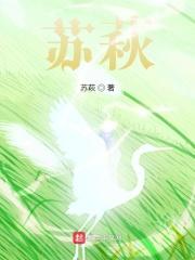 我男扮女装后掰弯全文免费阅读完整版