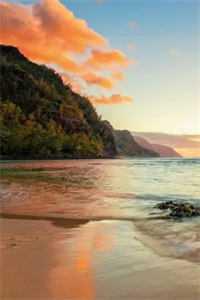 重生之捉鬼天师